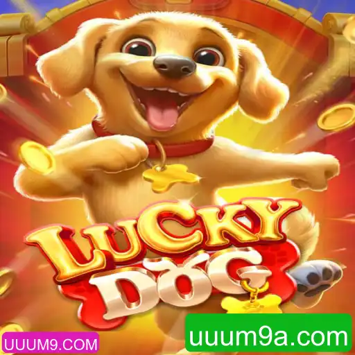 Descubra as Regras e Estratégias do Fascinante Jogo LuckyDog